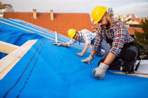 Best Roof Repair Services  in Vineland, NJ
