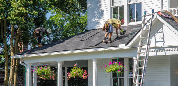 Best Roof Gutter Cleaning  in Vineland, NJ